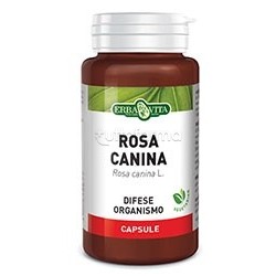 rosa canina erba vita